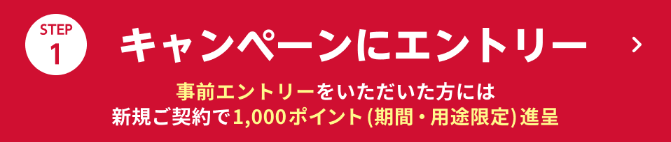 STEP1 キャンペーンにエントリー 事前エントリーをいただいた方には新規ご契約で1,000ポイント進呈