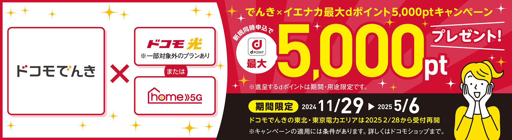 でんき×イエナカ最大dポイント5,000ptキャンペーン 期間限定2024/11/29から2025/5/6 ドコモでんきの東北・東京電力エリアは2025/2/28から受付再開