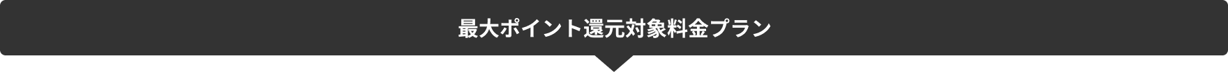 最大ポイント還元対象料金プラン