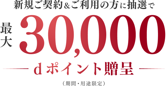 新規ご契約&ご利用の方に抽選で最大30,000dポイント贈呈(期間・用途限定)