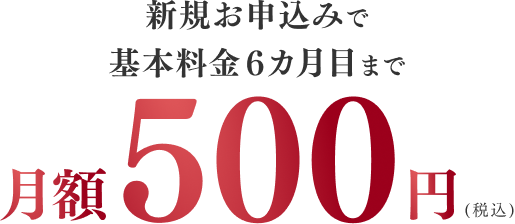 新規お申込みで基本料金6カ月目まで月額500円(税込)